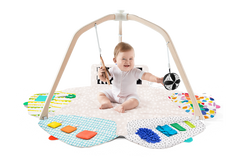 The Play Gym