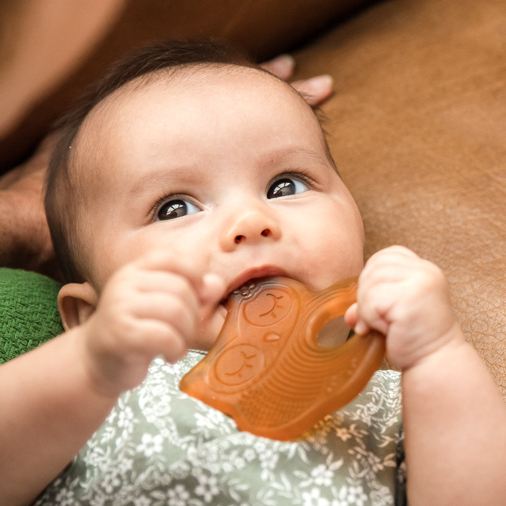 Haakaa Sleeping Owl Natural Rubber Teether 1 pk Haakaa Sleeping Owl Natural Rubber Teether 1 pk