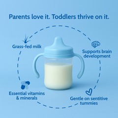 Cow Milk Toddler Drink - Stage 3 | Non GMO (14 oz)
