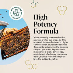 Propolis Throat Spray by Beekeeper'S Naturals - 95% Bee Propolis Extract, Natural Immune Support & Sore Throat Relief - Antioxidants, Keto, Paleo, Gluten-Free (1.06 Oz)(Pack of 1)