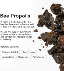 Propolis Throat Spray by Beekeeper'S Naturals - 95% Bee Propolis Extract, Natural Immune Support & Sore Throat Relief - Antioxidants, Keto, Paleo, Gluten-Free (1.06 Oz)(Pack of 1)