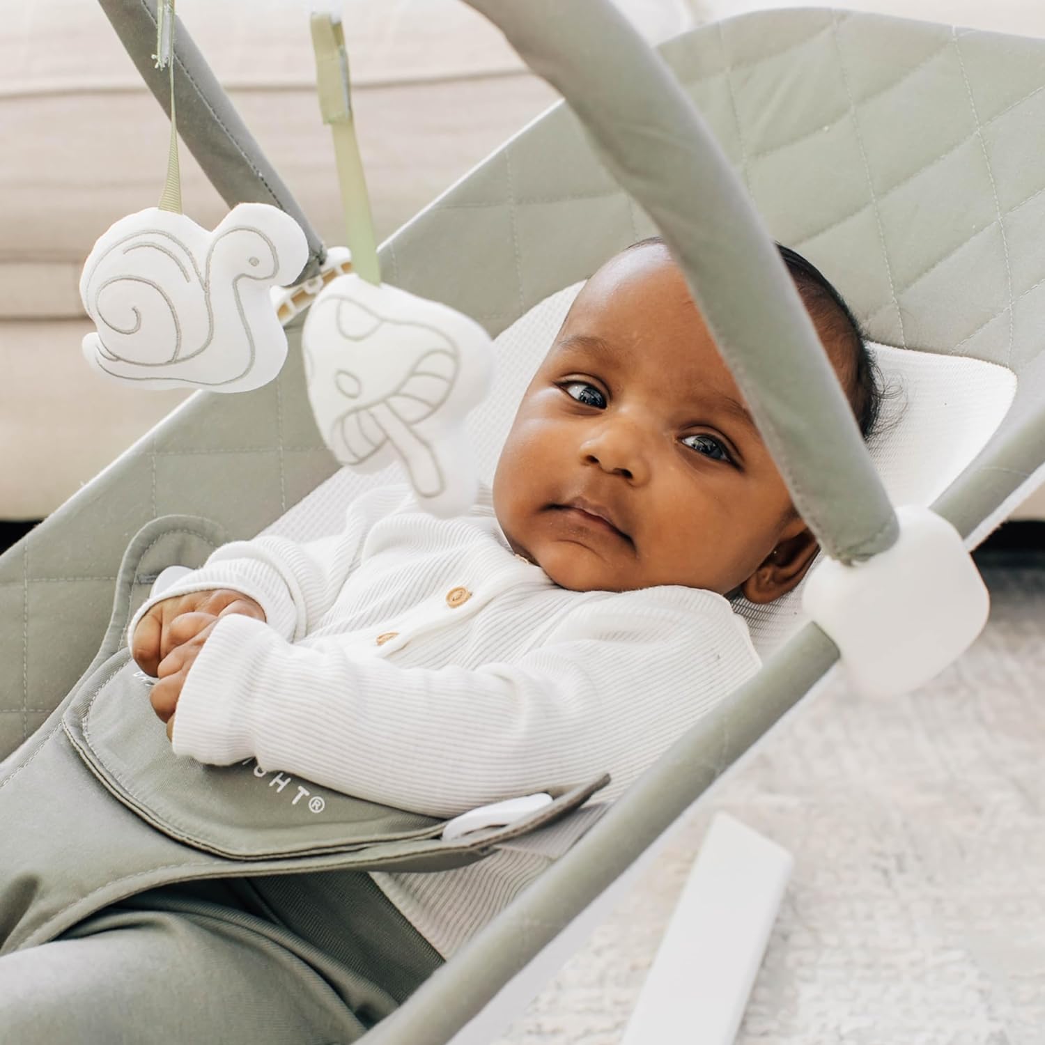 Baby Delight Alpine Deluxe Portable Baby Bouncer | Infant | 0-6 Months | 100% GOTS Certified Organic Cotton Fabric | Organic Sage