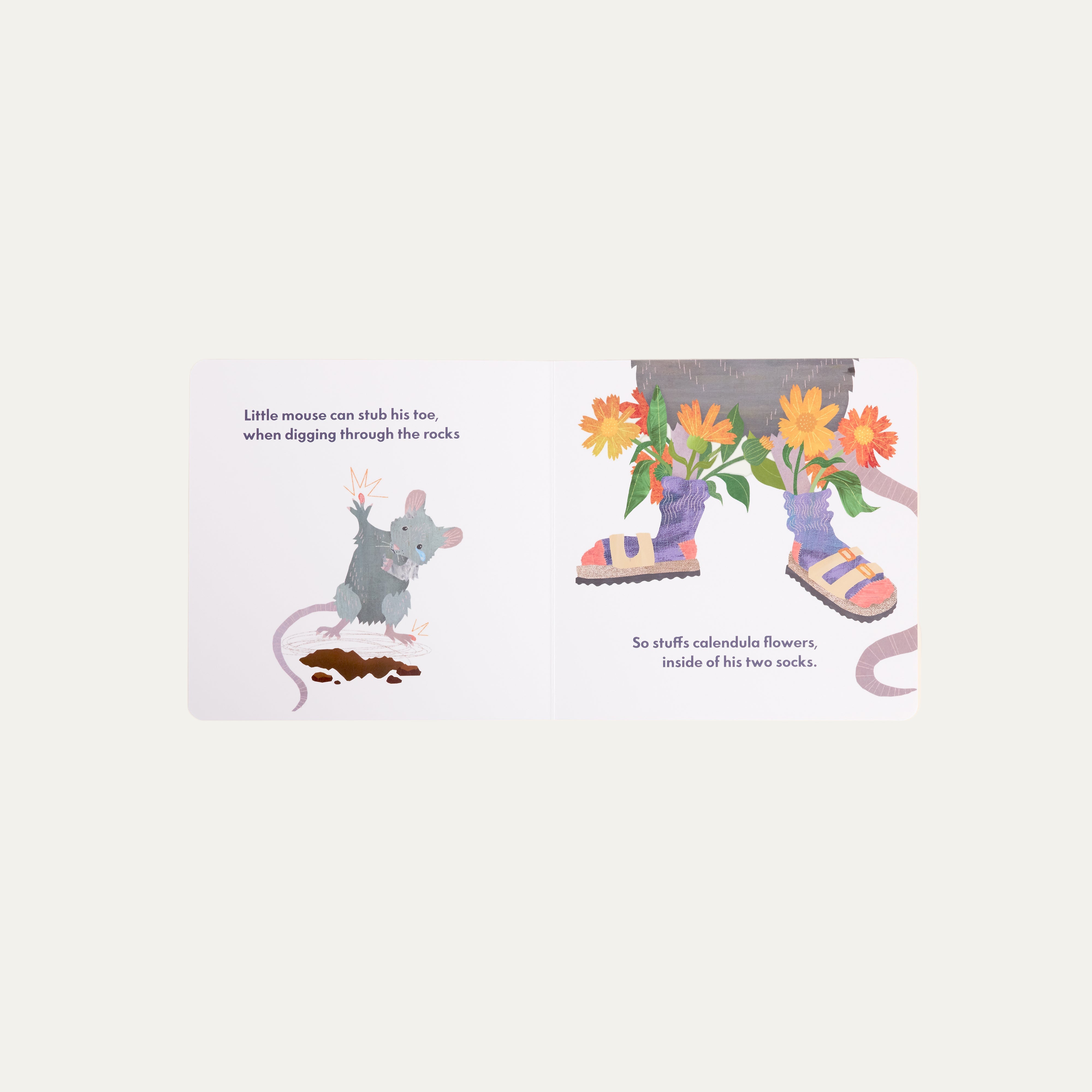 Dr. Animals- Children’s book