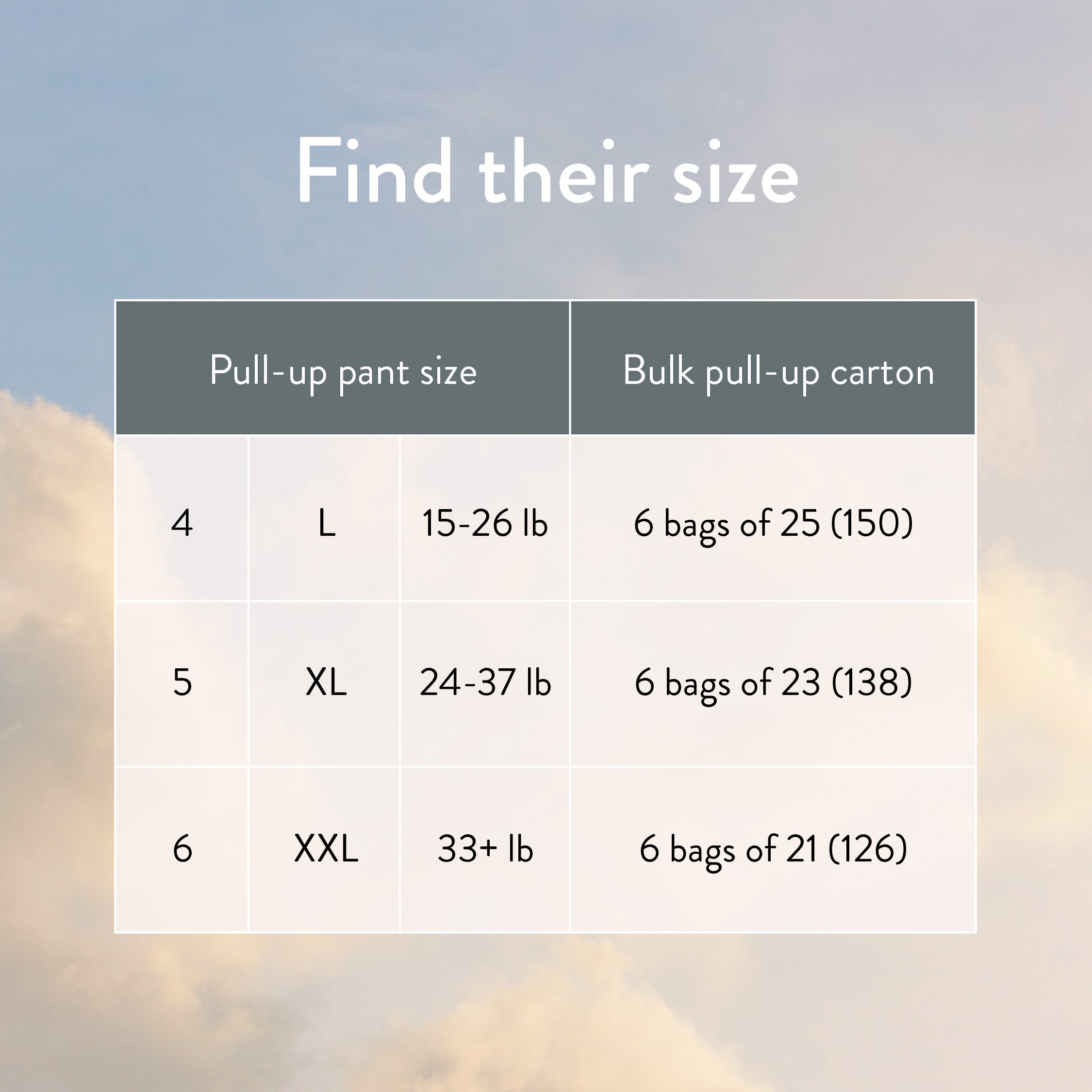 Single Pull-Ups Bag