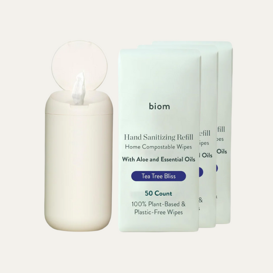 Dispenser + Hand Sanitizing Wipes Starter Kit