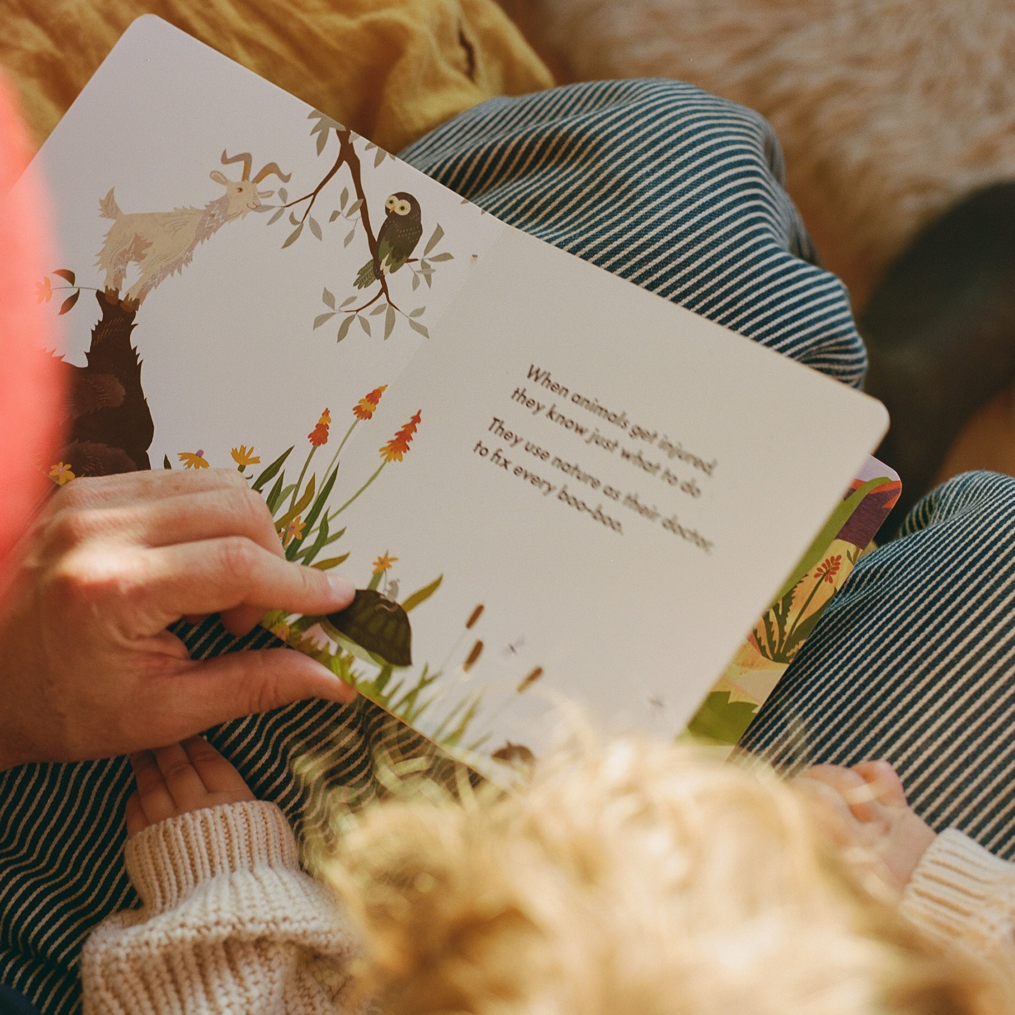 Dr. Animals- Children’s book